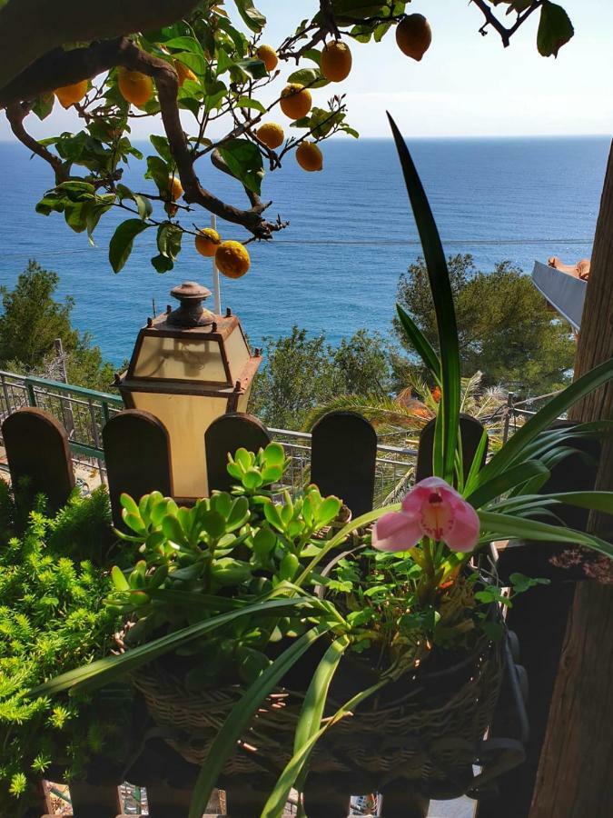 Holiday home Ca Del Pescatore Cervo