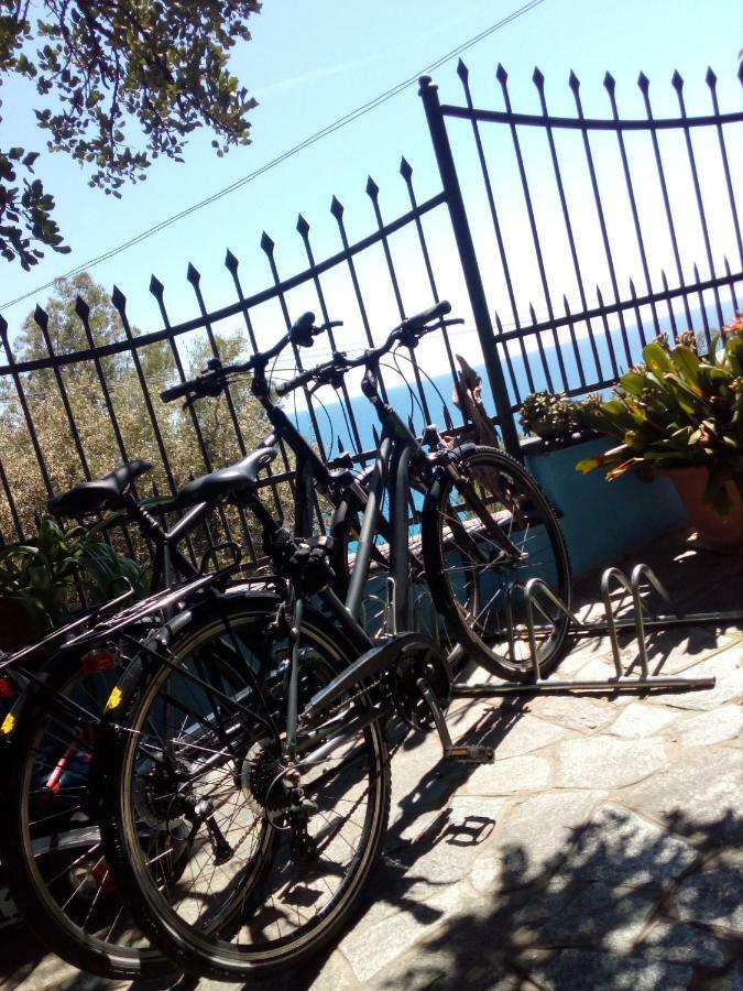 Ca Del Pescatore Holiday home Cervo