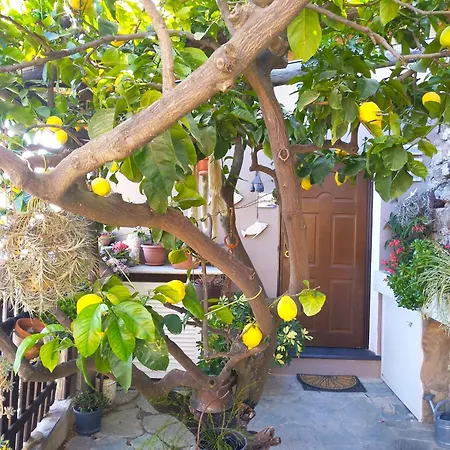 Ca Del Pescatore Cervo Exterior photo